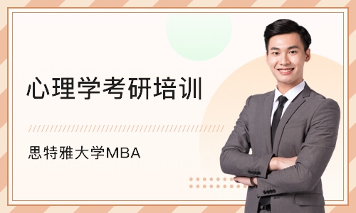 北京思特雅大学MBA