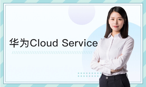 天津 华为Cloud Service