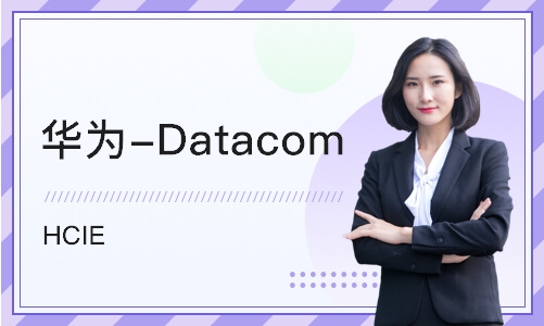 济南华为-Datacom HCIE 