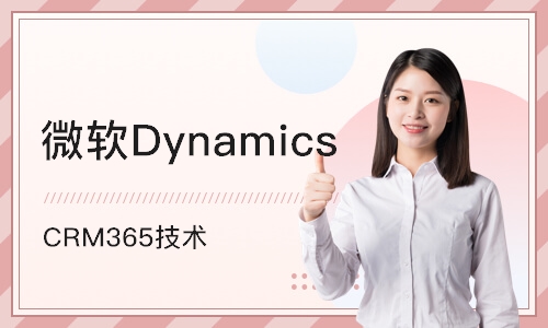 北京微软Dynamics  CRM365技术