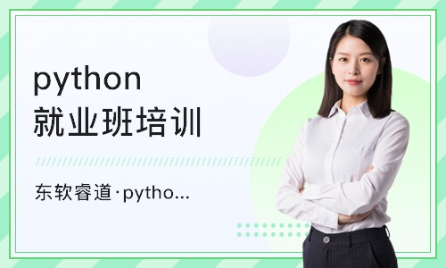 沈阳东软睿道·python基础学习