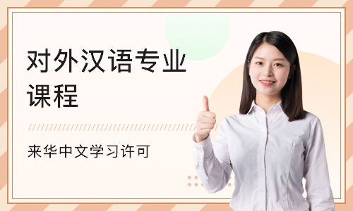 上海对外汉语专业课程