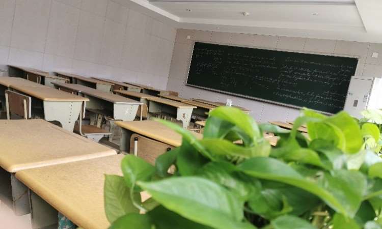 教室绿化