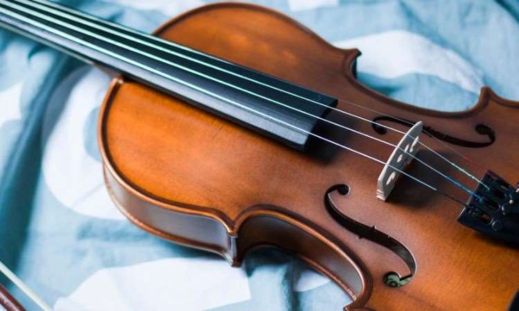 南京成人学习小提琴