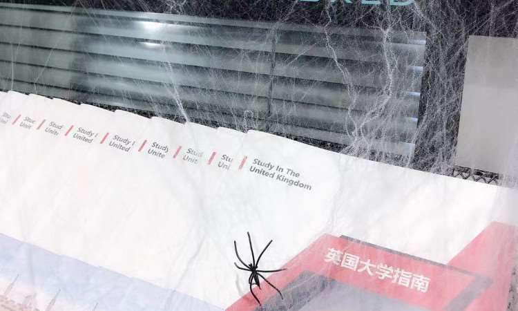 宣传册上的蜘蛛