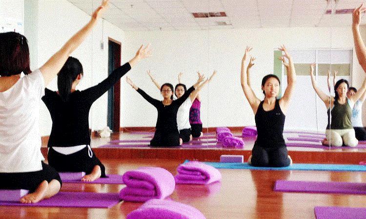 青岛瑜伽初级培训班