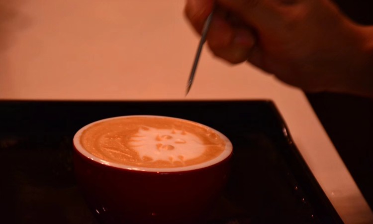 咖啡雕花培训