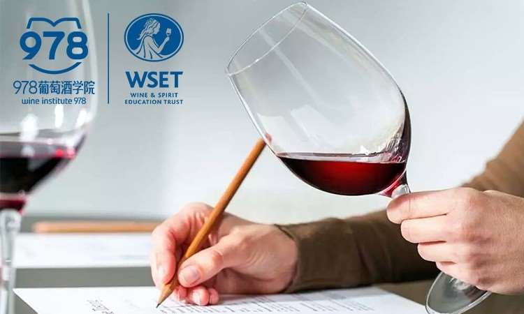 天津WSET二级葡萄酒国际认证体验课程