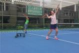 深圳罗湖区成年网球培训哪里比较好