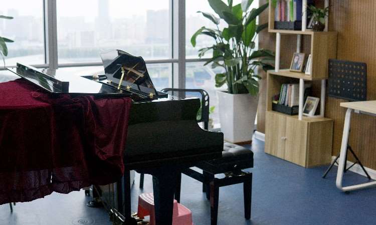 VIP钢琴教室