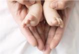 黄浦区母婴护理培训机构排名