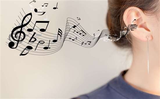 声乐教学初学者入门教学方法--以说导唱运用 