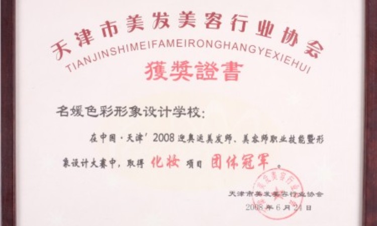 27天津市美发美容行业协会 团体冠军证书