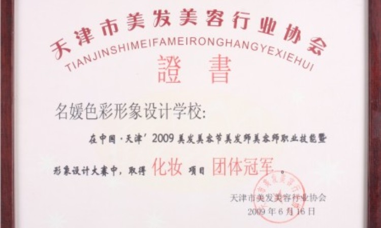 28天津市美发美容行业协会 团体冠军证书 (2)