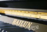 深圳长清区钢琴培训 机构排名