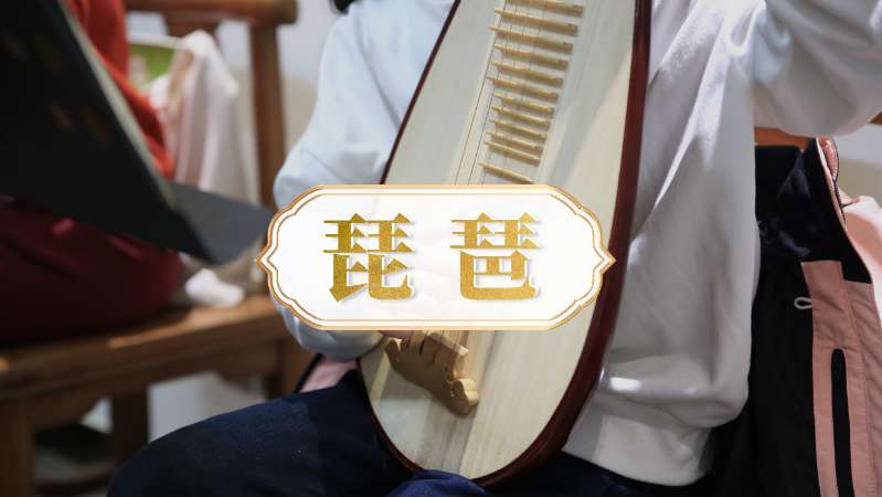重庆学习琵琶