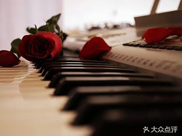 苏州学钢琴班