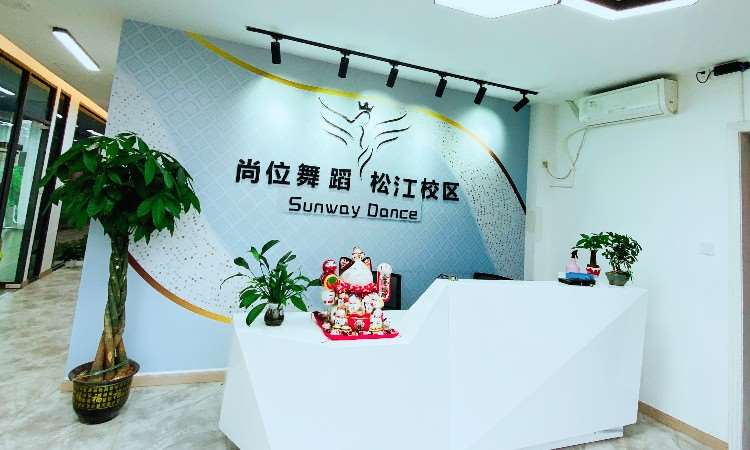 上海教成品舞的学校