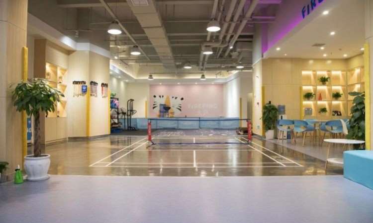 重庆儿童乒乓球培训机构