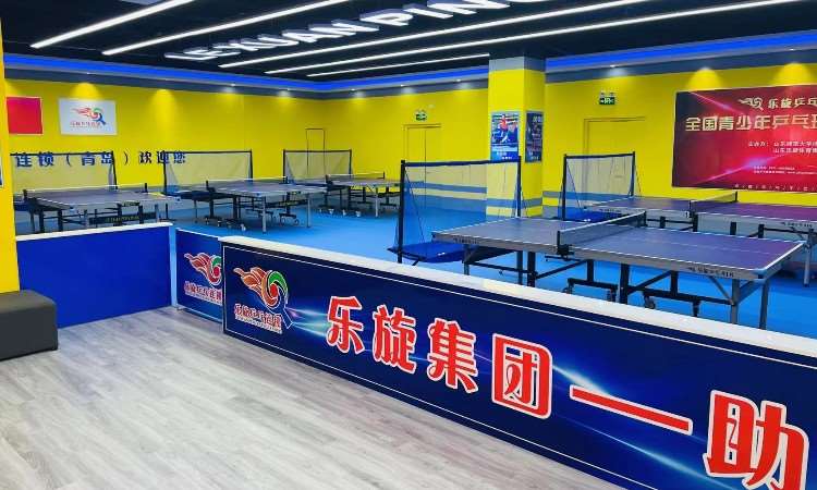 深圳青少年乒乓球培训