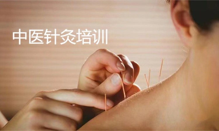 上海培训针灸