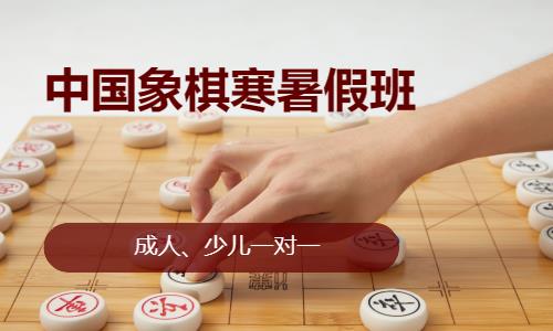 济南国际象棋入门培训