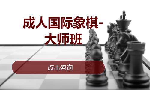 成都成人国际象棋-大师班