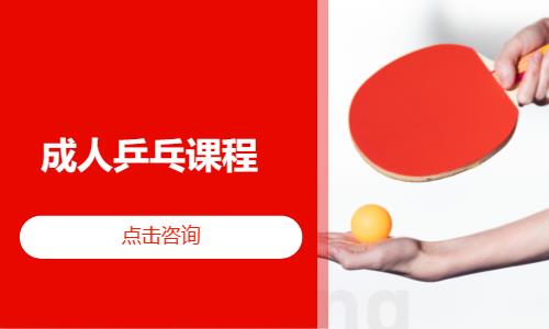 济南乐旋成人乒乓课程