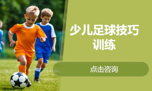 北京少儿足球技巧训练