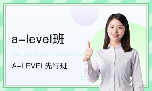 沈阳a-level班