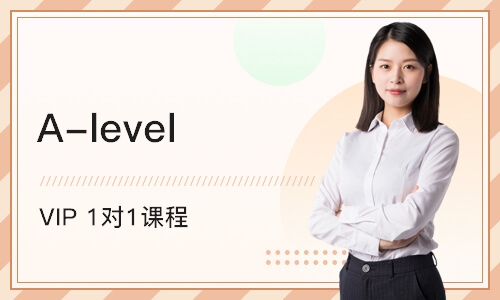 深圳A-level VIP 1对1课程