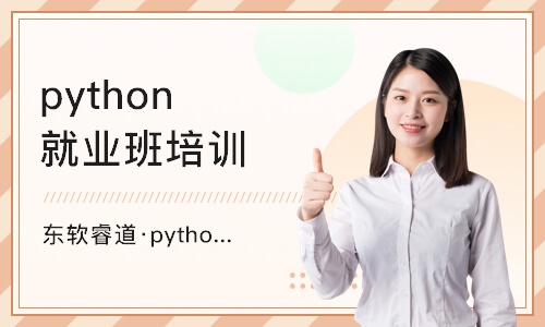 沈阳东软睿道·python课程