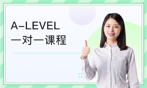 A-LEVEL一对一课程