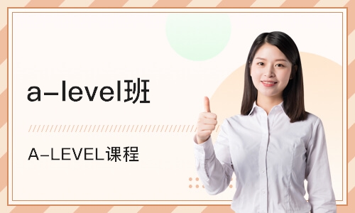 南京a-level班
