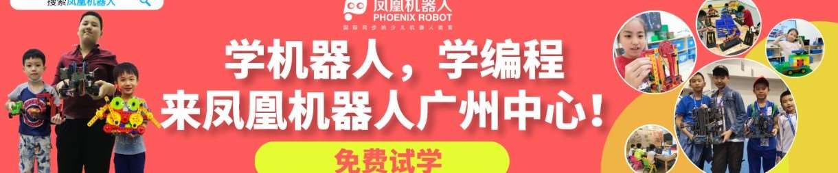 广州凤凰机器人