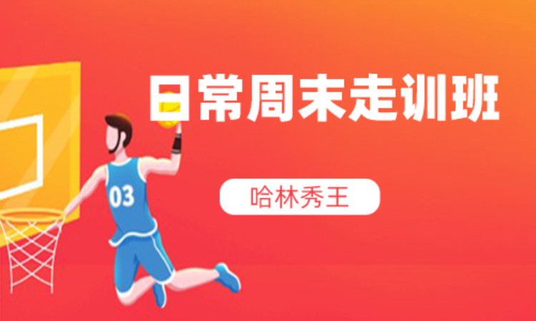 北京夏令营篮球