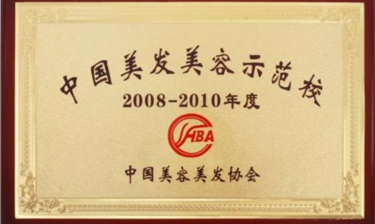 19中国美发美容示范校2008-2010年度 奖牌
