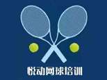 天津人人悦动网球