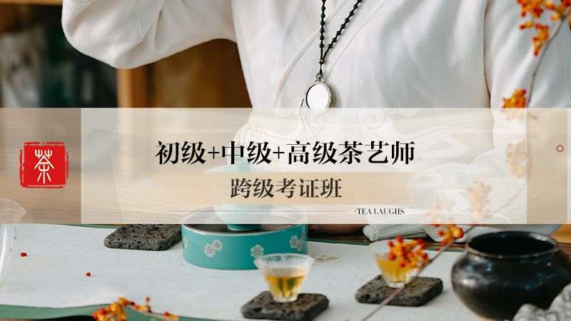 重庆学习茶艺师