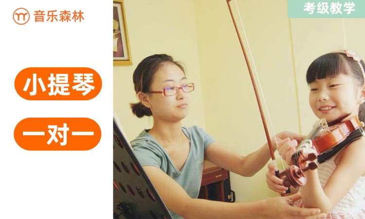北京少儿小提琴培训机构