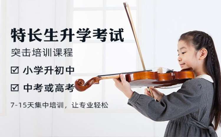 北京成人小提琴课