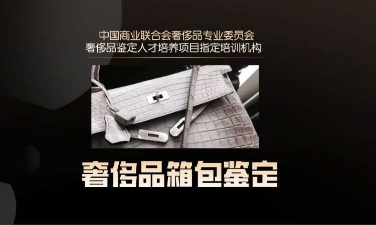 南京奢侈品鉴定师职业能力培训考证课--箱包