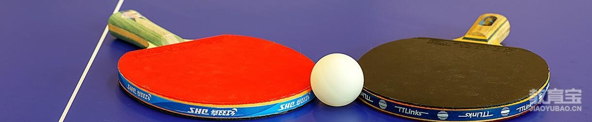 上海乐旋乒乓球
