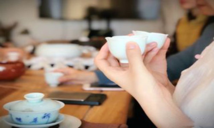 北京茶艺师资格证培训
