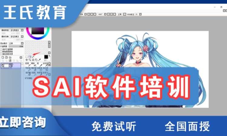 上海王氏·sai软件培训