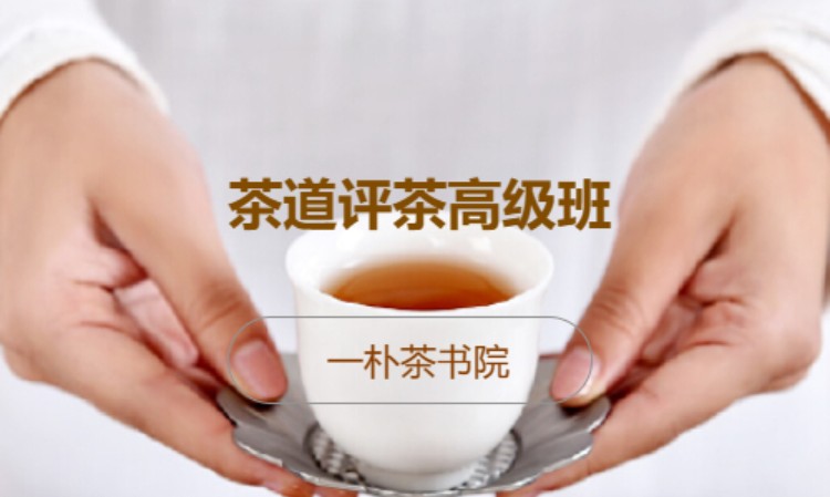 北京茶艺师学习班