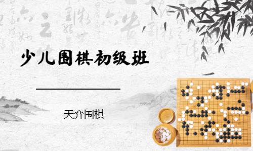 济南少儿围棋课程费用