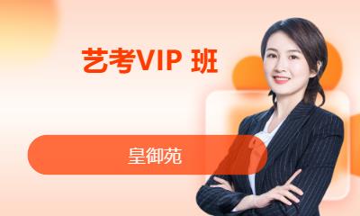 深圳艺考VIP 班
