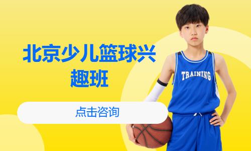 北京少儿篮球兴趣班