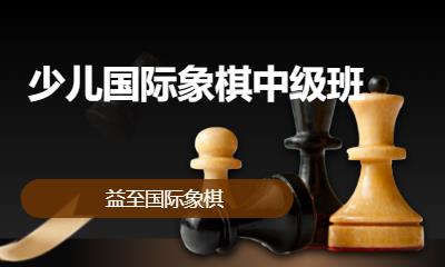 深圳少儿国际象棋中级班